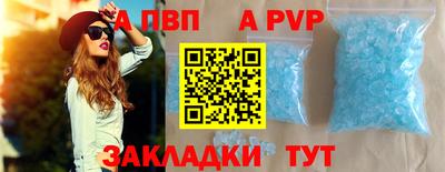 гашик Кингисепп