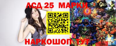гашик Кингисепп