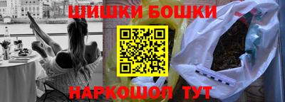 гашик Кингисепп