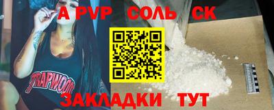 гашик Кингисепп