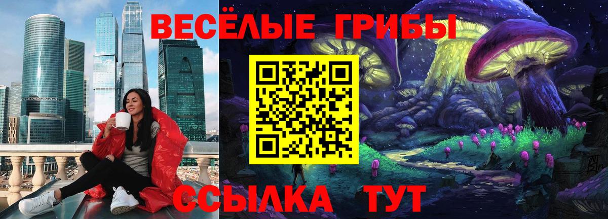Псилоцибиновые грибы GOLDEN TEACHER Верхняя Пышма